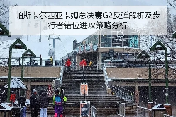 帕斯卡尔西亚卡姆总决赛G2反弹解析及步行者错位进攻策略分析（HTH）